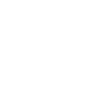 Logo Insta